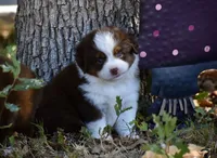 processed/b582ef5b-3f97-4952-a9a3-a5b052574f1f/listing/d0249113-ef25-4554-8bba-bf35eb6a05b7/e58d6c59-bdbd-4734-b226-44229720bf42