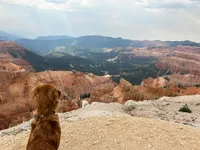 processed/b59487d8-847b-47ad-9af8-2887055cbd3d/facility/226ccd59-19ed-4a3b-9cbf-98f86d39a11f