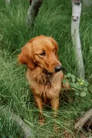 processed/b59487d8-847b-47ad-9af8-2887055cbd3d/facility/3dc8a010-a03d-4d39-bdc4-dd260ef3adf8