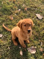 processed/b59487d8-847b-47ad-9af8-2887055cbd3d/facility/49fe0cdb-8eb0-422f-b865-7bdfe6503fc7