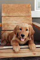 processed/b59487d8-847b-47ad-9af8-2887055cbd3d/facility/5f6493dc-1df4-4a9a-a11a-b00c0e79bedb