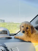 processed/b59487d8-847b-47ad-9af8-2887055cbd3d/facility/a7a4d5b4-e4d3-4b1c-91d3-9d3bc12b95a1