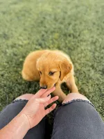 processed/b59487d8-847b-47ad-9af8-2887055cbd3d/facility/aaceada5-fd1f-4270-9e41-02c8c745a1b5