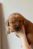 processed/b59487d8-847b-47ad-9af8-2887055cbd3d/facility/f51e7f31-d2e1-4984-95a3-c0ab5e208ce0