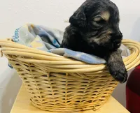 processed/b5aad4dd-fbf9-4de6-a4f1-3a05c2cf5e86/facility/6d0f2de5-6816-4c66-b859-6727a3c71ffc