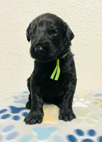 processed/b5aad4dd-fbf9-4de6-a4f1-3a05c2cf5e86/facility/9c9df317-07f1-4b33-8581-d7745497b070