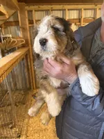 processed/b5ae8d67-4793-4522-9075-bc524f269e52/listing/577bd718-ea72-4eae-b614-56f61b4fd3d3/41a1aa48-a35f-47b2-87df-f97acfdc9bfd