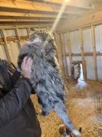 processed/b5ae8d67-4793-4522-9075-bc524f269e52/listing/577bd718-ea72-4eae-b614-56f61b4fd3d3/865e50f9-2778-48b4-9666-a374d65d9ce4