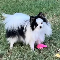 processed/b5b38c8d-7aec-47ae-a0ec-a0d5fbc78a5a/facility/be7b5b54-b86b-4e1f-b446-00acd42823d9