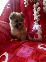 processed/b5b38c8d-7aec-47ae-a0ec-a0d5fbc78a5a/listing/2f37f2b1-70bb-405d-bfa7-ef29af2e40cb/1d489f1d-385d-4e64-ad3e-a93a66c5ba48