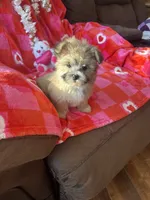 processed/b5b38c8d-7aec-47ae-a0ec-a0d5fbc78a5a/listing/2f37f2b1-70bb-405d-bfa7-ef29af2e40cb/692fee18-90db-45c4-b75e-0be0cc80828d