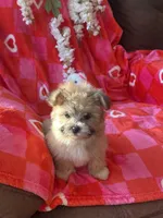 processed/b5b38c8d-7aec-47ae-a0ec-a0d5fbc78a5a/listing/2f37f2b1-70bb-405d-bfa7-ef29af2e40cb/b2341246-af61-4ea1-8ae7-b9b23ad23c83