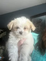 processed/b5b38c8d-7aec-47ae-a0ec-a0d5fbc78a5a/listing/674f1d21-ef7c-422e-9b7d-33fe05d1d824/034d8b69-d17e-461d-a67a-9883fa38a1ea