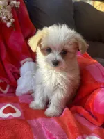 processed/b5b38c8d-7aec-47ae-a0ec-a0d5fbc78a5a/listing/674f1d21-ef7c-422e-9b7d-33fe05d1d824/3c4f7031-9321-4267-93a6-49e3ff832dec