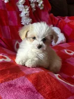 processed/b5b38c8d-7aec-47ae-a0ec-a0d5fbc78a5a/listing/674f1d21-ef7c-422e-9b7d-33fe05d1d824/612d58ae-333a-4cb5-b882-04e30908635d