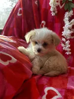 processed/b5b38c8d-7aec-47ae-a0ec-a0d5fbc78a5a/listing/674f1d21-ef7c-422e-9b7d-33fe05d1d824/a81fb765-bc58-4ecb-8b66-8e31ff68442a