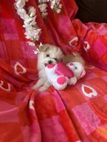 processed/b5b38c8d-7aec-47ae-a0ec-a0d5fbc78a5a/listing/674f1d21-ef7c-422e-9b7d-33fe05d1d824/ad7c2ab4-1ac4-4341-b28b-2564558f5f48