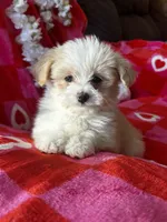 processed/b5b38c8d-7aec-47ae-a0ec-a0d5fbc78a5a/listing/674f1d21-ef7c-422e-9b7d-33fe05d1d824/c5cd17db-b31b-404e-a7f4-70066d099cce