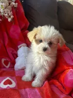 processed/b5b38c8d-7aec-47ae-a0ec-a0d5fbc78a5a/listing/674f1d21-ef7c-422e-9b7d-33fe05d1d824/e02049f1-300c-40d1-9687-e06b1c8bcdc6