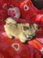 processed/b5b38c8d-7aec-47ae-a0ec-a0d5fbc78a5a/listing/cb723a1d-7da6-4823-937a-25017e0ddf2f/2d942c78-a7b4-4fa1-aebe-042f4902a580