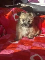 processed/b5b38c8d-7aec-47ae-a0ec-a0d5fbc78a5a/listing/cb723a1d-7da6-4823-937a-25017e0ddf2f/4c8301dc-d4ca-4fd6-b079-28771d60d3b0