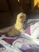 processed/b5b38c8d-7aec-47ae-a0ec-a0d5fbc78a5a/listing/cb723a1d-7da6-4823-937a-25017e0ddf2f/515e87b3-f5e8-4ae1-bf9d-af8c49d69493