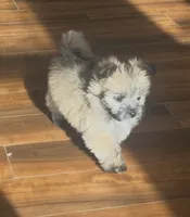 processed/b5b38c8d-7aec-47ae-a0ec-a0d5fbc78a5a/listing/cb723a1d-7da6-4823-937a-25017e0ddf2f/8585814d-2b94-4927-9b68-78608b4182c0