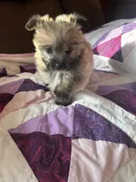 processed/b5b38c8d-7aec-47ae-a0ec-a0d5fbc78a5a/listing/cb723a1d-7da6-4823-937a-25017e0ddf2f/8bd7a954-d86e-44d6-8a15-ef98893b19af