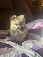 processed/b5b38c8d-7aec-47ae-a0ec-a0d5fbc78a5a/listing/cb723a1d-7da6-4823-937a-25017e0ddf2f/e5520406-f12b-460f-b2c3-719a081638fb