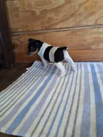 processed/b5b67911-d5fe-4293-a7bc-dad7a49ef707/listing/6072a819-6cc0-49e0-93bf-2c2432d5cb7f/2045075d-b232-4efd-b879-736b70f1b2bb