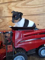 processed/b5b67911-d5fe-4293-a7bc-dad7a49ef707/listing/6072a819-6cc0-49e0-93bf-2c2432d5cb7f/3654e286-078c-4bf3-9b6c-05b8f1e49700