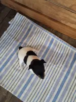 processed/b5b67911-d5fe-4293-a7bc-dad7a49ef707/listing/6072a819-6cc0-49e0-93bf-2c2432d5cb7f/46beafd8-bb12-4e60-98a9-67e0f30e1ea9