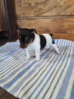 processed/b5b67911-d5fe-4293-a7bc-dad7a49ef707/listing/6072a819-6cc0-49e0-93bf-2c2432d5cb7f/60ea104b-2566-4664-9f74-ac0321f672dc