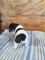 processed/b5b67911-d5fe-4293-a7bc-dad7a49ef707/listing/6072a819-6cc0-49e0-93bf-2c2432d5cb7f/65ea10a8-5057-442d-8ea3-5c0ed0b46dd1