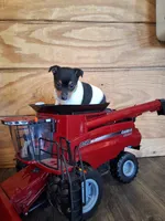 processed/b5b67911-d5fe-4293-a7bc-dad7a49ef707/listing/6072a819-6cc0-49e0-93bf-2c2432d5cb7f/ba8ddb23-75de-4e6e-bcd9-f6d3808494dc