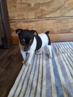 processed/b5b67911-d5fe-4293-a7bc-dad7a49ef707/listing/6072a819-6cc0-49e0-93bf-2c2432d5cb7f/e2d8549c-29c0-4f25-8145-32caffa52ce1