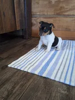 processed/b5b67911-d5fe-4293-a7bc-dad7a49ef707/listing/6072a819-6cc0-49e0-93bf-2c2432d5cb7f/ea896911-6448-4e92-8602-bbeab2f665e0