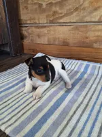 processed/b5b67911-d5fe-4293-a7bc-dad7a49ef707/listing/6072a819-6cc0-49e0-93bf-2c2432d5cb7f/f9f7f22e-9ac6-4dc2-8264-16b68716377e