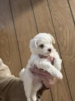 processed/b5b70932-66cb-4b12-b789-e0eb6ded583f/listing/223c5c20-947c-4ee9-8b10-361dc4d7872b/25e26149-ac25-4e0b-a389-b206ee0ab26f