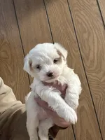 processed/b5b70932-66cb-4b12-b789-e0eb6ded583f/listing/223c5c20-947c-4ee9-8b10-361dc4d7872b/e981c6f6-f486-49b4-acf5-5236ef56eded