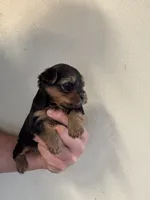 processed/b5b70932-66cb-4b12-b789-e0eb6ded583f/listing/23f1c47a-1d60-46a2-ac9e-159c04685518/6b0f256a-69c3-4990-b7a1-338fa070d6f0