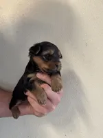 processed/b5b70932-66cb-4b12-b789-e0eb6ded583f/listing/23f1c47a-1d60-46a2-ac9e-159c04685518/cf1cf83b-89b6-49b4-b83e-8005f67d7b8d