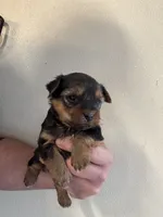 processed/b5b70932-66cb-4b12-b789-e0eb6ded583f/listing/23f1c47a-1d60-46a2-ac9e-159c04685518/ffd32e8a-f0b6-4a63-a789-9eb7a7245d8b