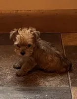 processed/b5b70932-66cb-4b12-b789-e0eb6ded583f/listing/b449779d-99d2-4043-b2cd-ebf99db0ec3a/3a7e3d3e-866e-4bdf-bc31-ed1a83b13140