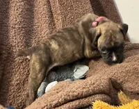 processed/b5b71125-b8a9-4dbc-985a-e86212c45e37/listing/1abb5de9-f529-4bfd-af2e-1b75c6bd46f2/014af1e9-8228-44d5-9542-5a3f22e1f874