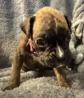 processed/b5b71125-b8a9-4dbc-985a-e86212c45e37/listing/1abb5de9-f529-4bfd-af2e-1b75c6bd46f2/16790914-ceaf-42f5-9bee-de2ddbcd70f7