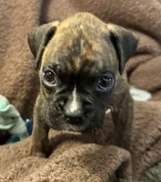 processed/b5b71125-b8a9-4dbc-985a-e86212c45e37/listing/1abb5de9-f529-4bfd-af2e-1b75c6bd46f2/8669a223-628f-4782-9ce9-f5826557464b