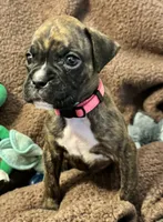 processed/b5b71125-b8a9-4dbc-985a-e86212c45e37/listing/1abb5de9-f529-4bfd-af2e-1b75c6bd46f2/916f6034-eb13-47c8-964b-206f8bd28a2c