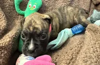 processed/b5b71125-b8a9-4dbc-985a-e86212c45e37/listing/1abb5de9-f529-4bfd-af2e-1b75c6bd46f2/9eceadde-cb01-43ed-8fcb-a2abd5bab5ff