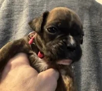 processed/b5b71125-b8a9-4dbc-985a-e86212c45e37/listing/1abb5de9-f529-4bfd-af2e-1b75c6bd46f2/aad2863a-9181-4bd4-b484-88ec0a404702